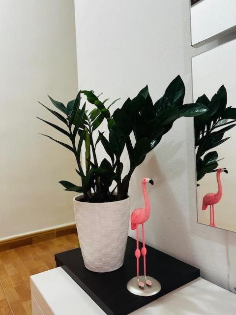 Atico Julia Plaza Apartment *